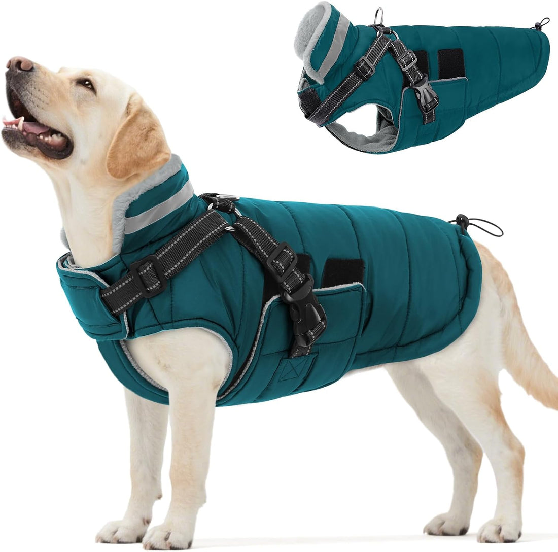 Queenmore Winter Dog Jackets for Medium Dogs with Harness Built-in