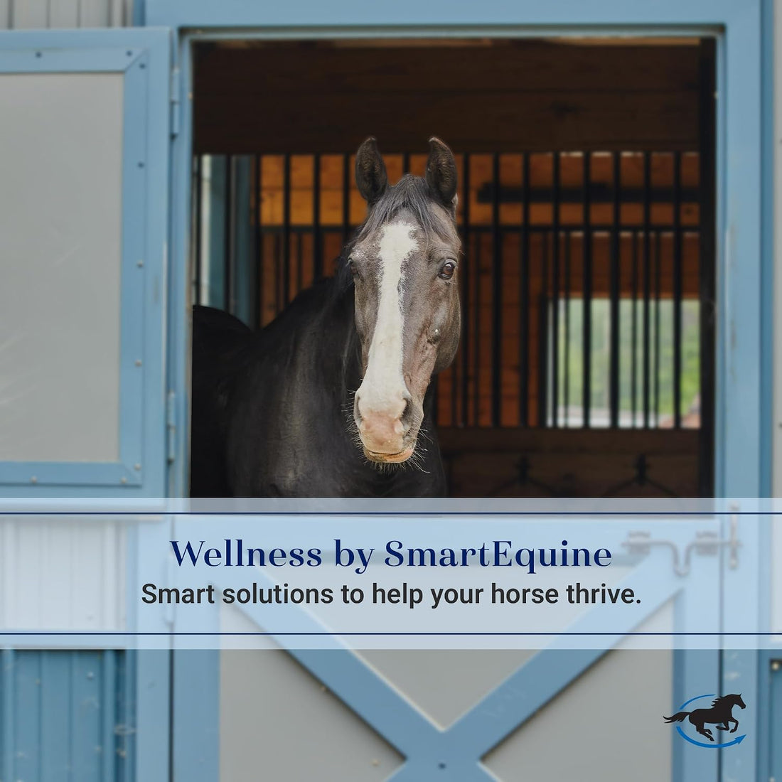 SmartEquine Deluxe Relaxed Fit Fly Boots for Horses, Pair, Horse Size
