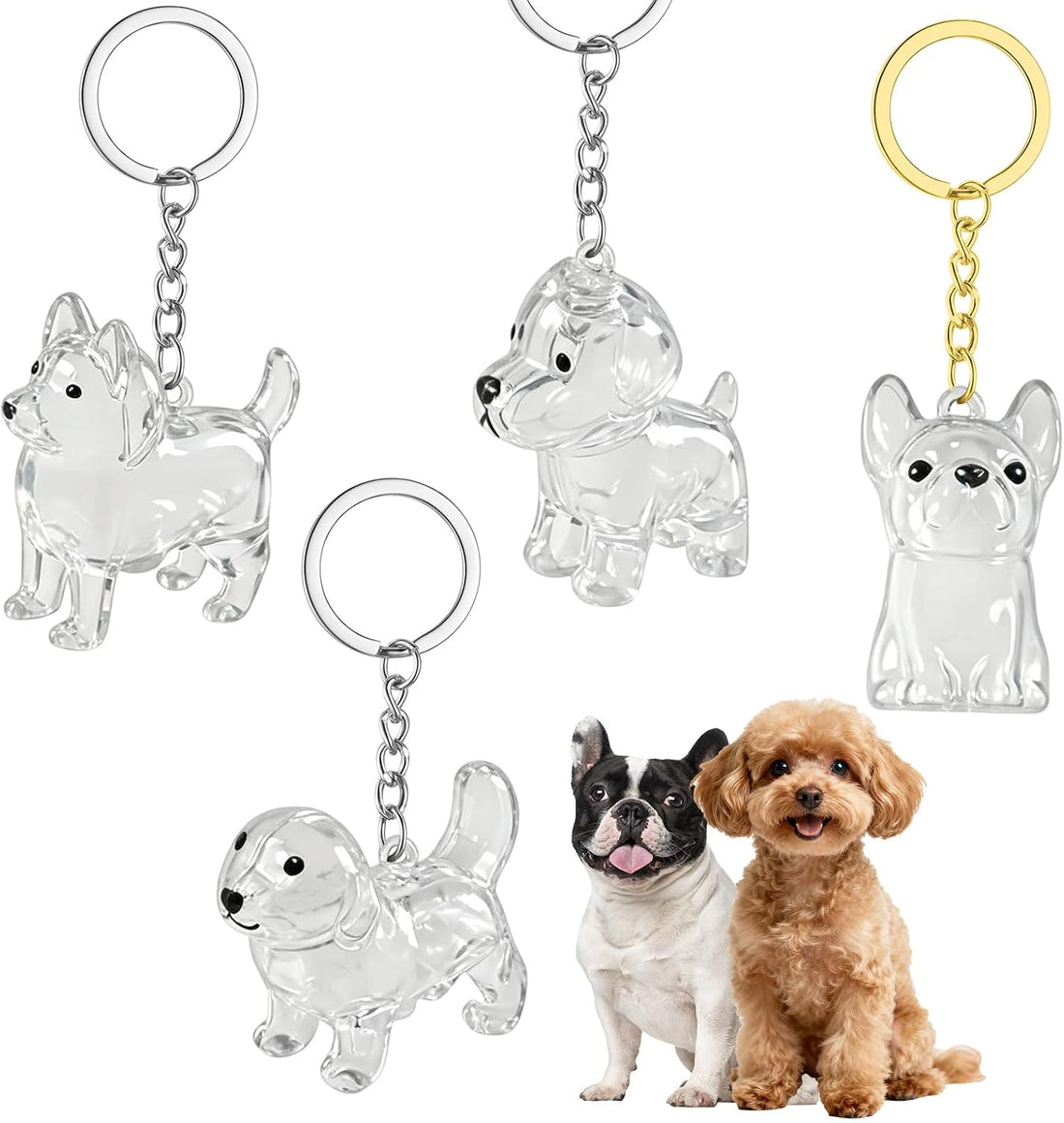 4 Pcs Cat Hair Keepsake Bottles, Pet Hair Memorial Keychain