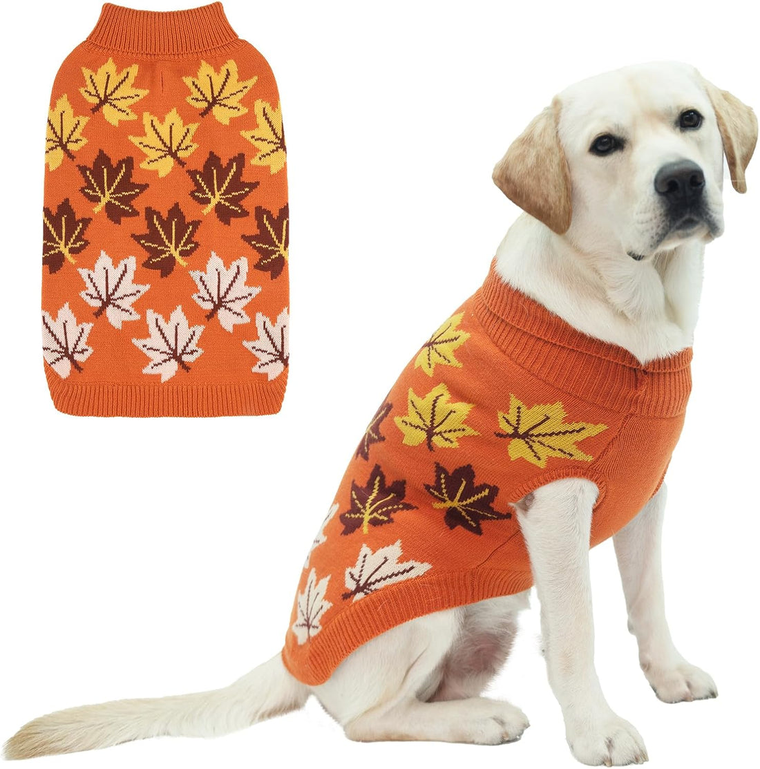 KOOLTAIL Small Dog Sweater, Fall Dog Sweater with Autumn Maple Leaf