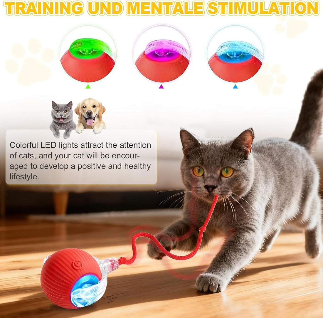 2-Pack USB Rechargeable Smart Cat Toy Ball for Indoor Cats & Small