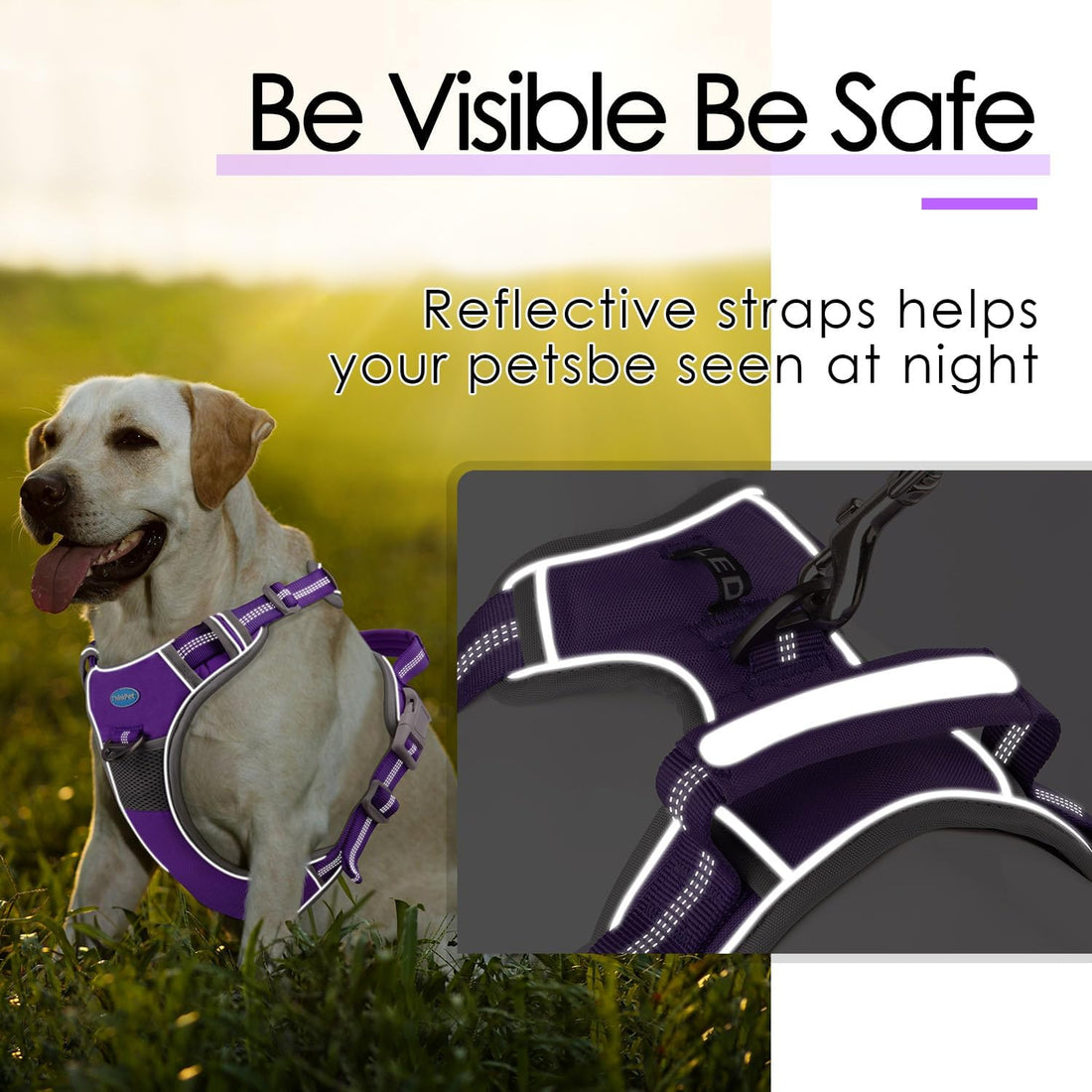 ThinkPet No Pull Harness Breathable Sport Vest with Handle-Dog