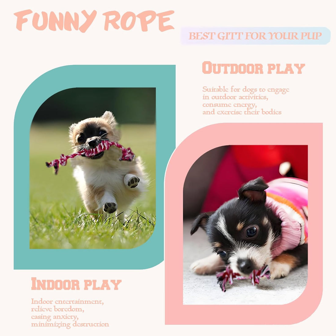 Cdyzqikm Puppy 3 Pack Cotton Knot Rope Toys for Small Dogs & Puppies