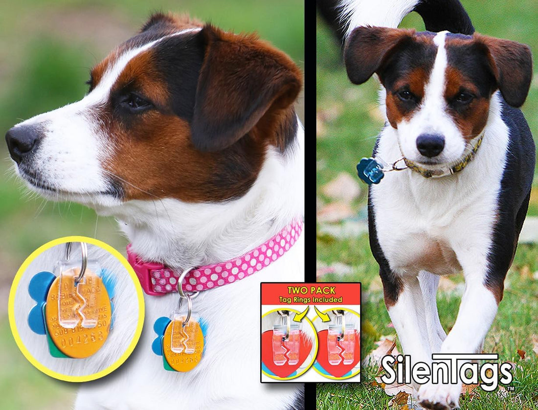 Pet Tag Silencer
