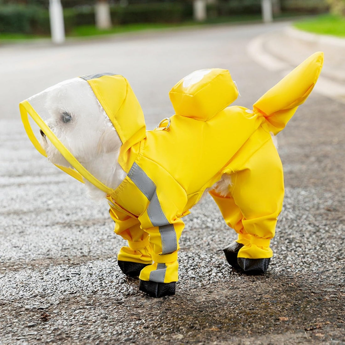 Waterproof Dog Raincoat,Full Coverage 4 Legs Dog Rain Jacket