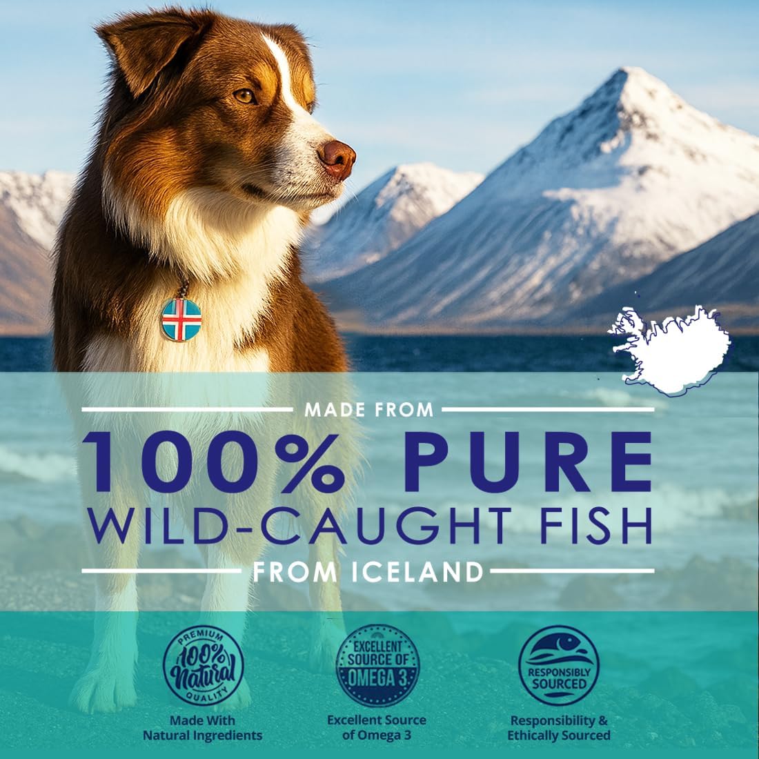 Wild Omega 3 Fish Oil for Dogs