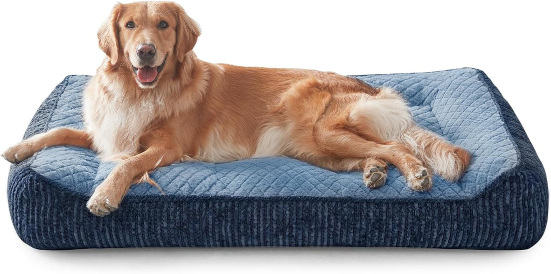 JOEJOY Extra Large Orthopedic Dog Beds Large Sized Dog