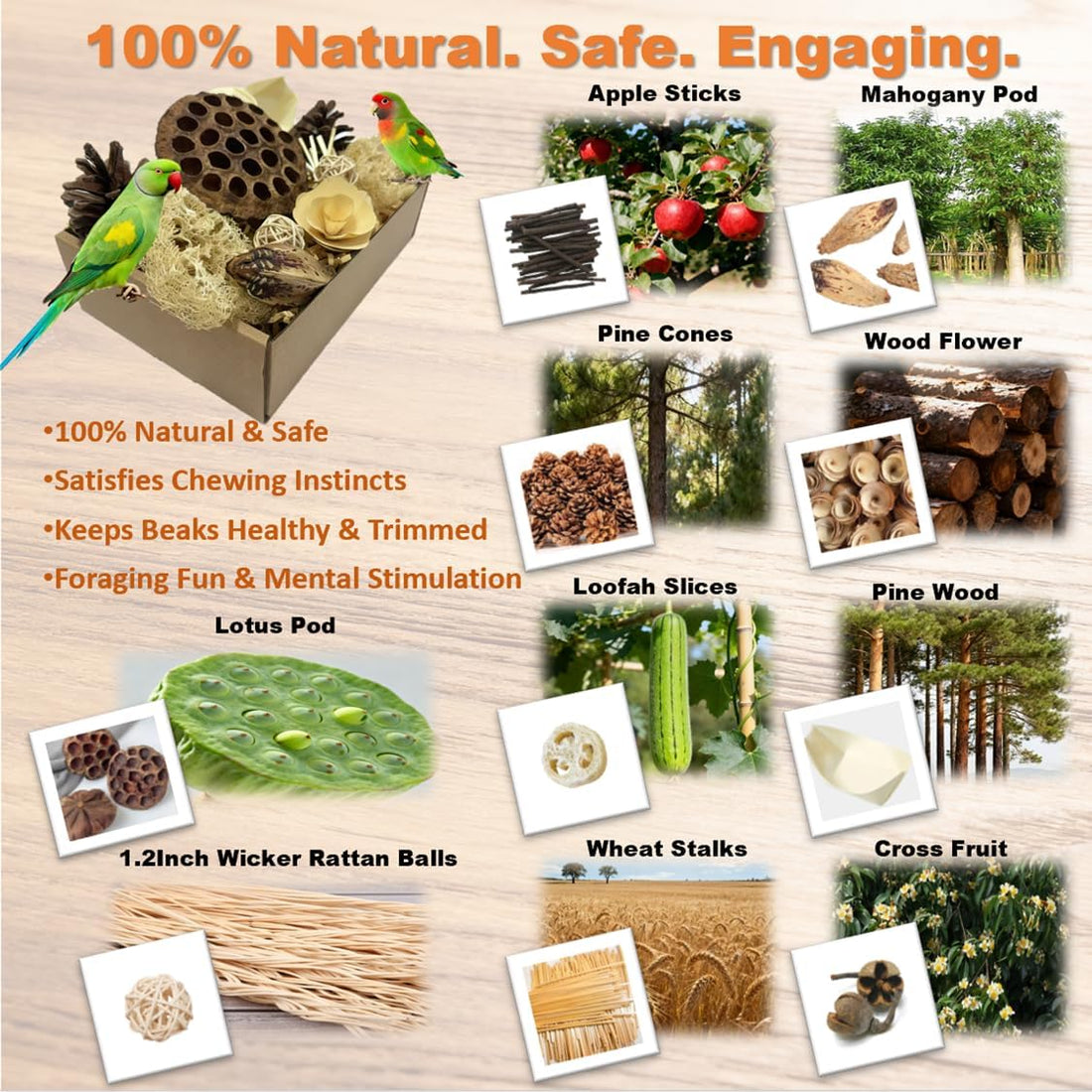 Bird Pet Toys - Lotus Pod Foraging Box, 10 Natural Ingredients