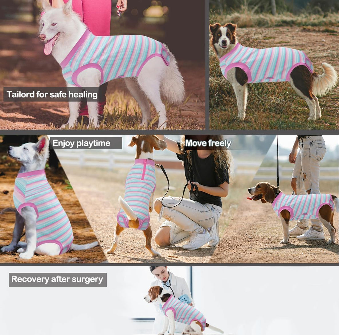 Recovery Suit for Female Dogs, Dog Cone Alternative After Spay