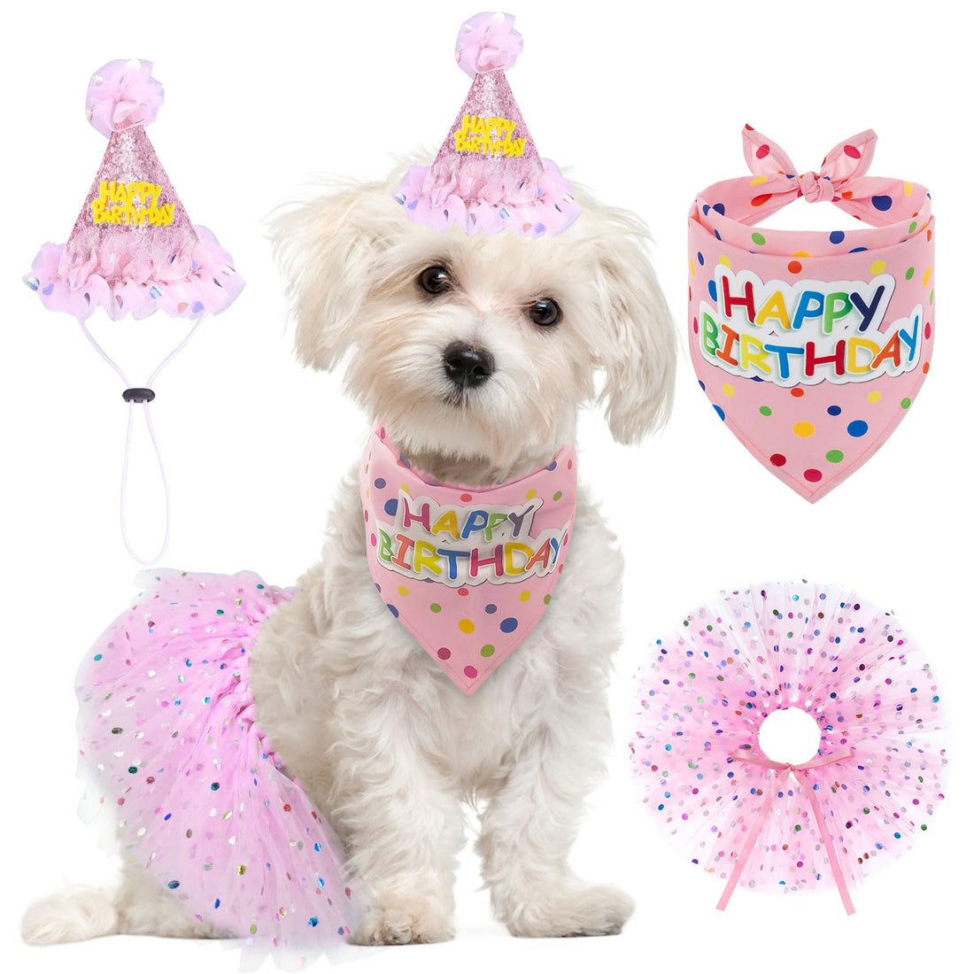 SCENEREAL Dog Birthday Bandana with Hat and Dress Girl Set