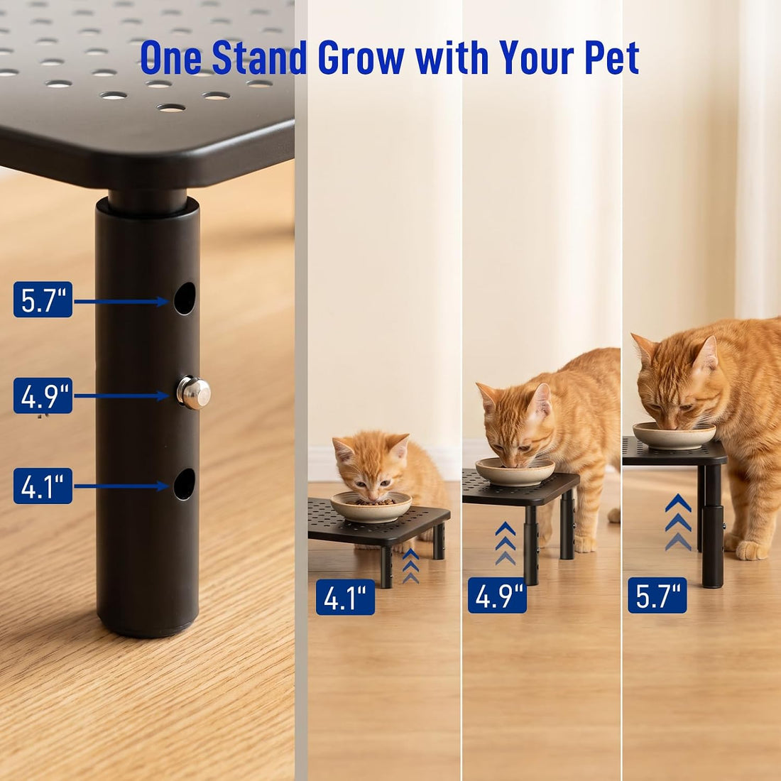 Automatic Cat Feeder Stand, Elevated Cat Food Stand & Bowl Riser
