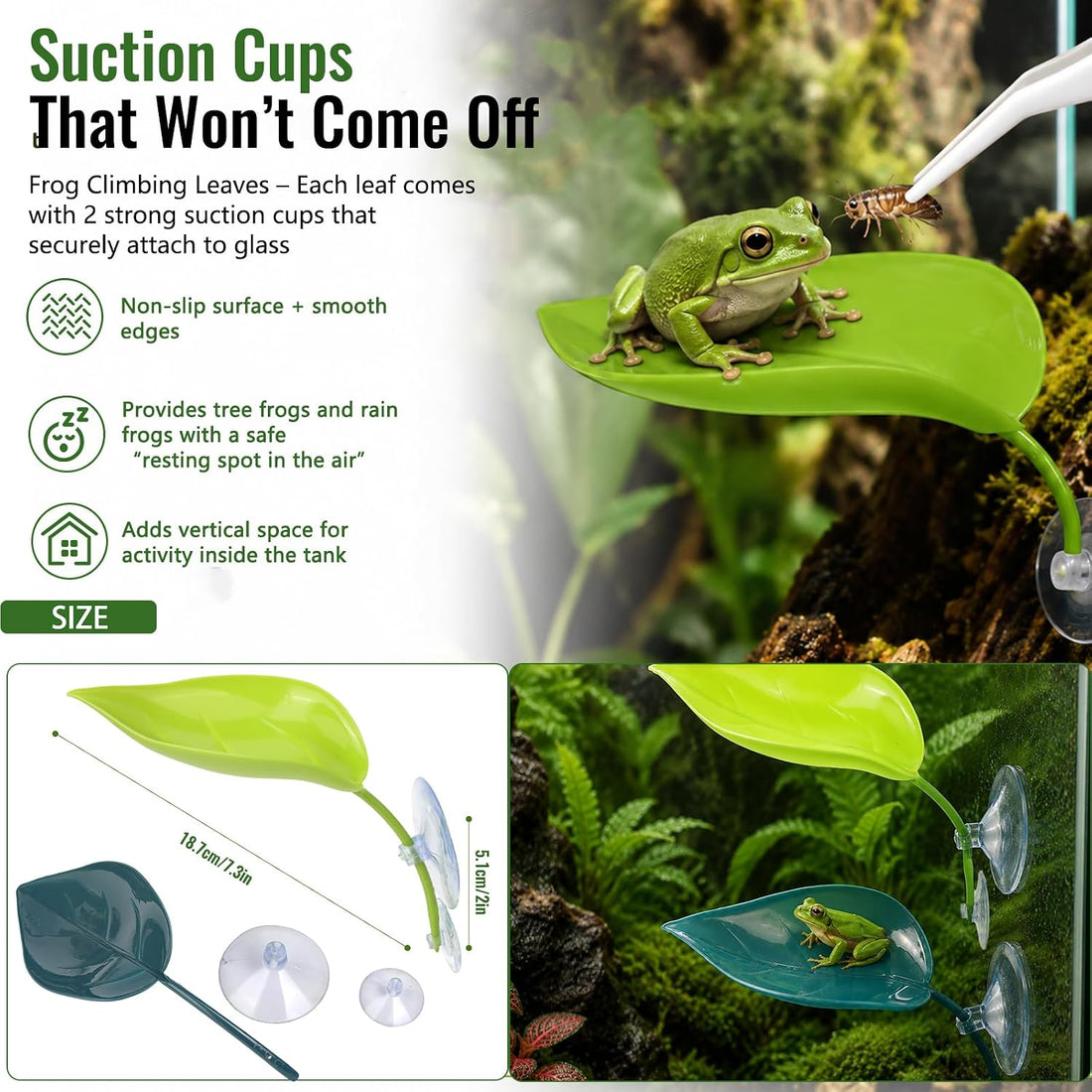 Frog Tank Accessories Set – Complete Tree Frog Habitat Kit