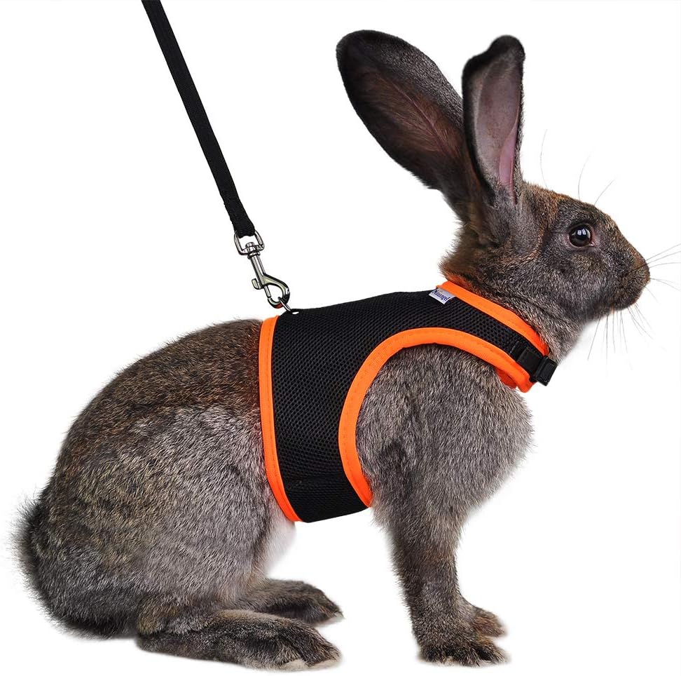 Niteangel Adjustable Soft Harness with Elastic Leash for Rabbits