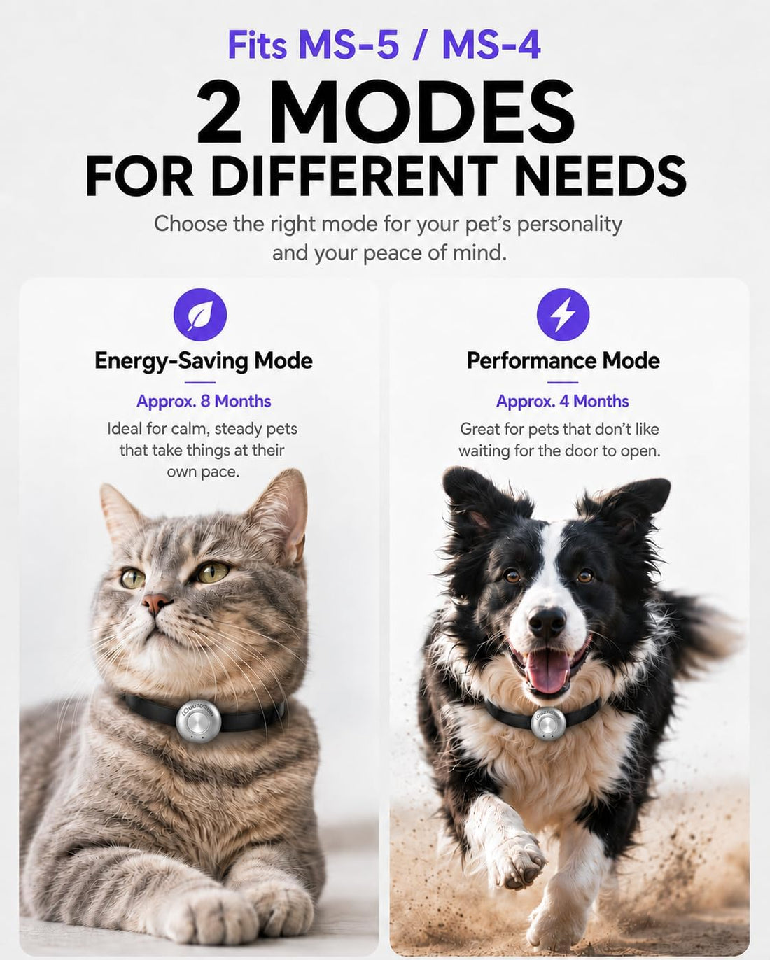 Dog Door Sensor, Compatible with High Tech Pet Door, for MS-5/4