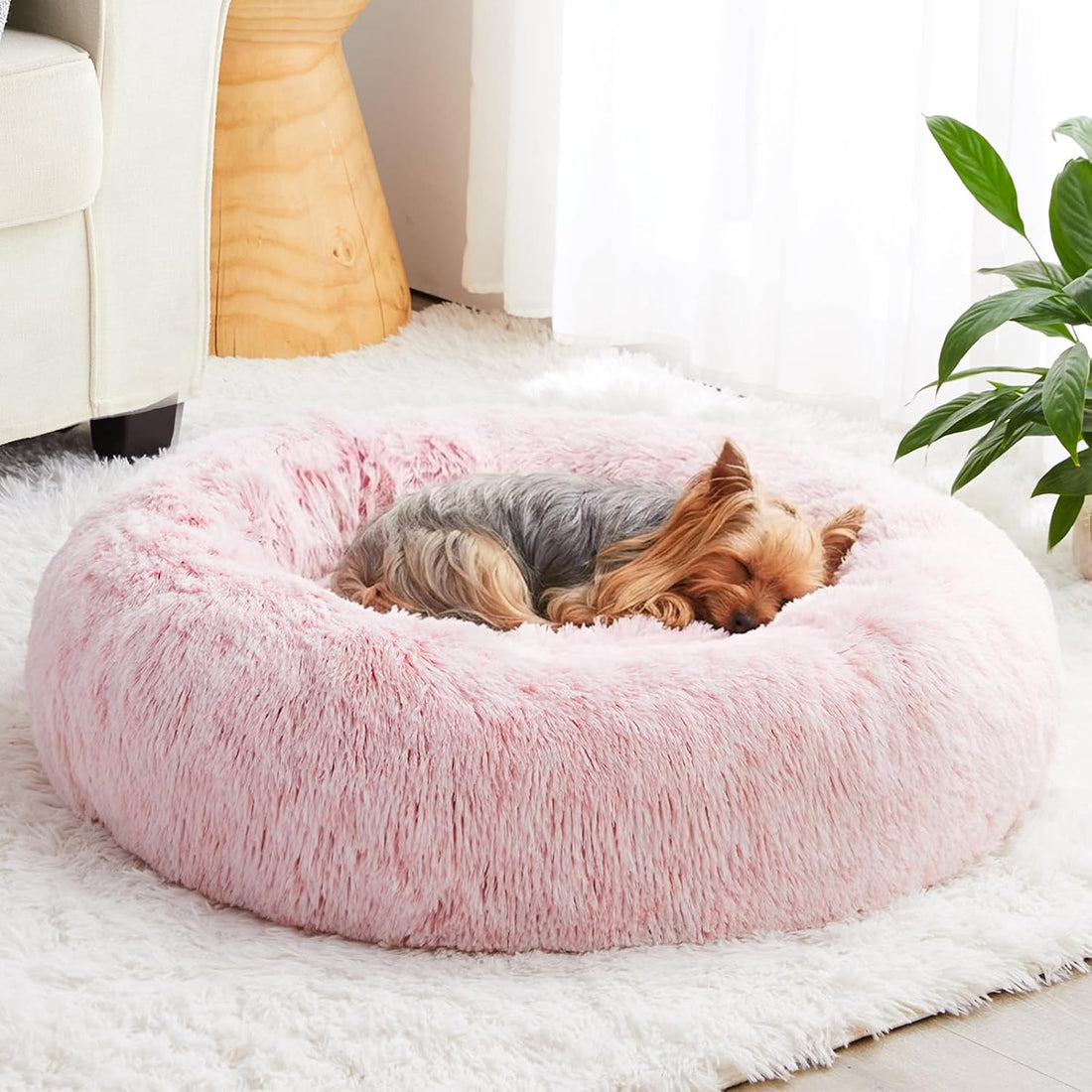 WNPETHOME Calming Dog Bed Cat Bed Donut