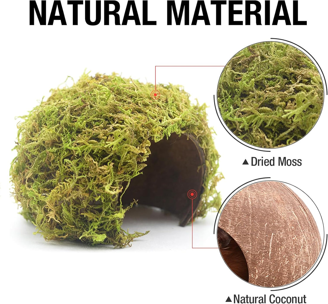 Hamster Hideout - Large, Natural Moss, Handcrafted for Syrian Hamsters