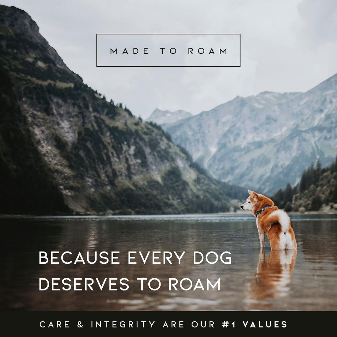 MADE TO ROAM Premium Explorer Harness