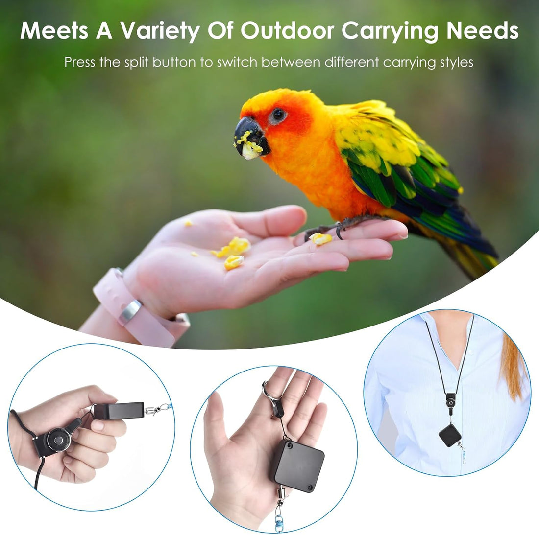 Bird Leash,6.6 Ft, with 13 Different Size Foot Ring ( Gold Color)