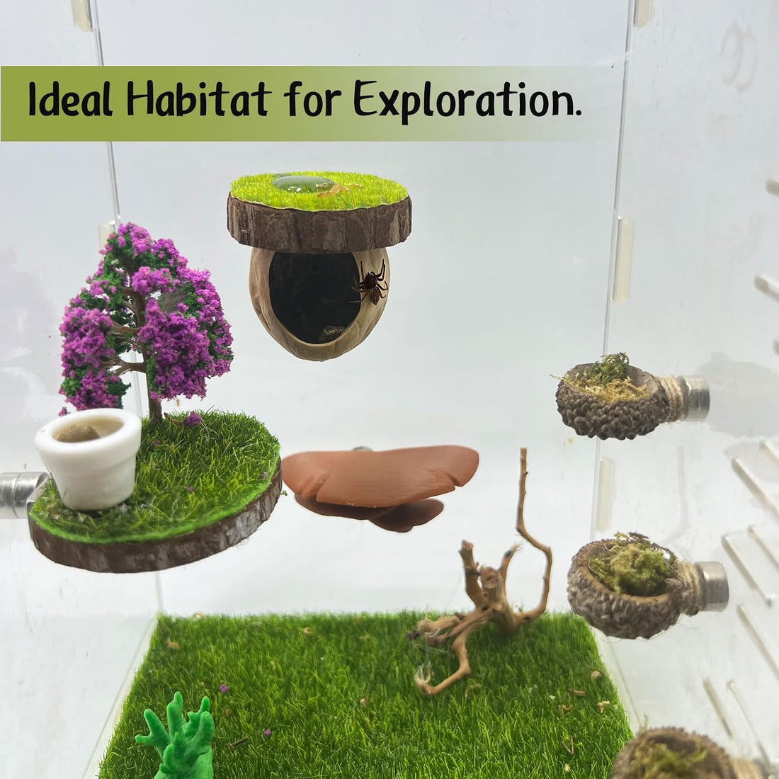 Jumping Spider Hideout - Magnetic Hiding Habitat, Climbing Platform
