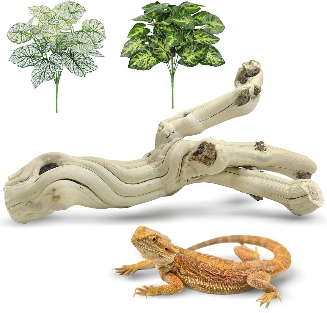 Snake Climbing Branch Wood Enclosure Decor Terrarium Logs