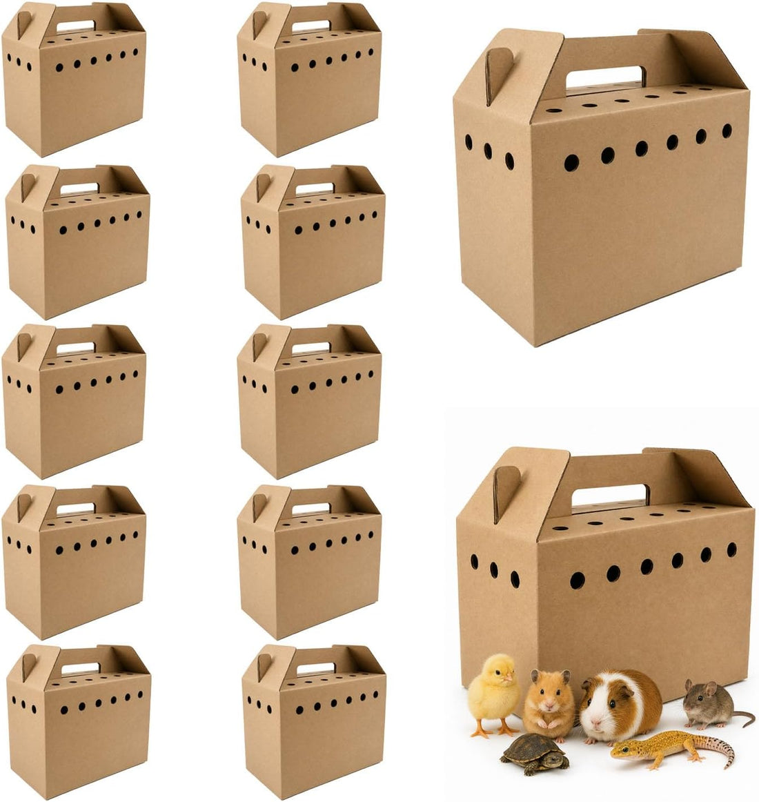12 Pack Cardboard Pet Carrier