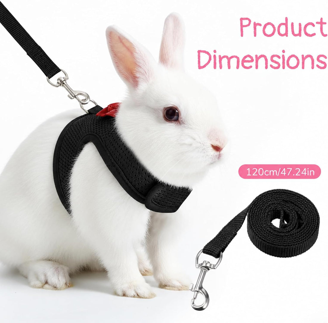 Bunny Harness and Leash Set Cute Bow Rabbit Leash Harness Set Escape