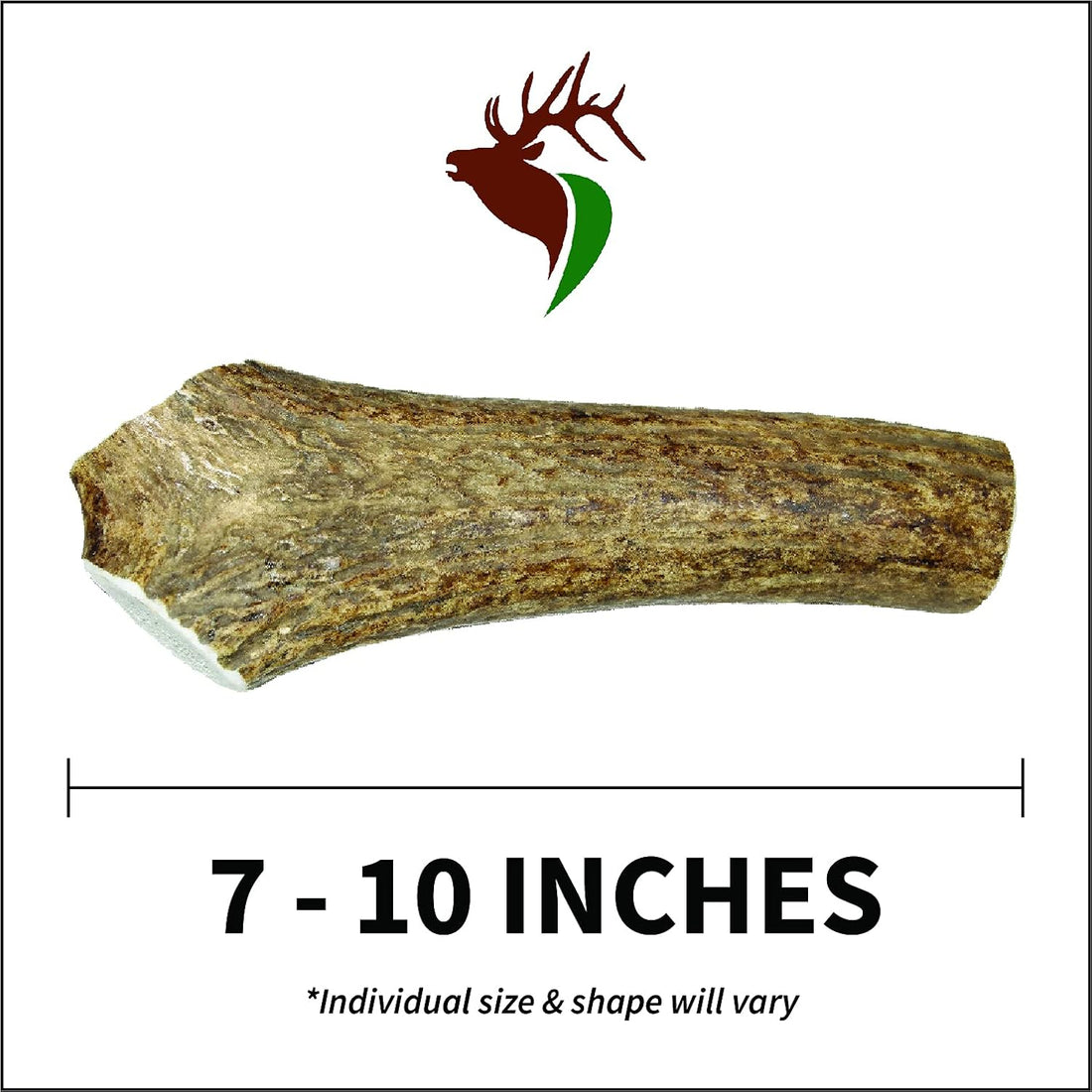 Elkhorn Premium Chews - Large Whole Single Pack Premium Grade Elk