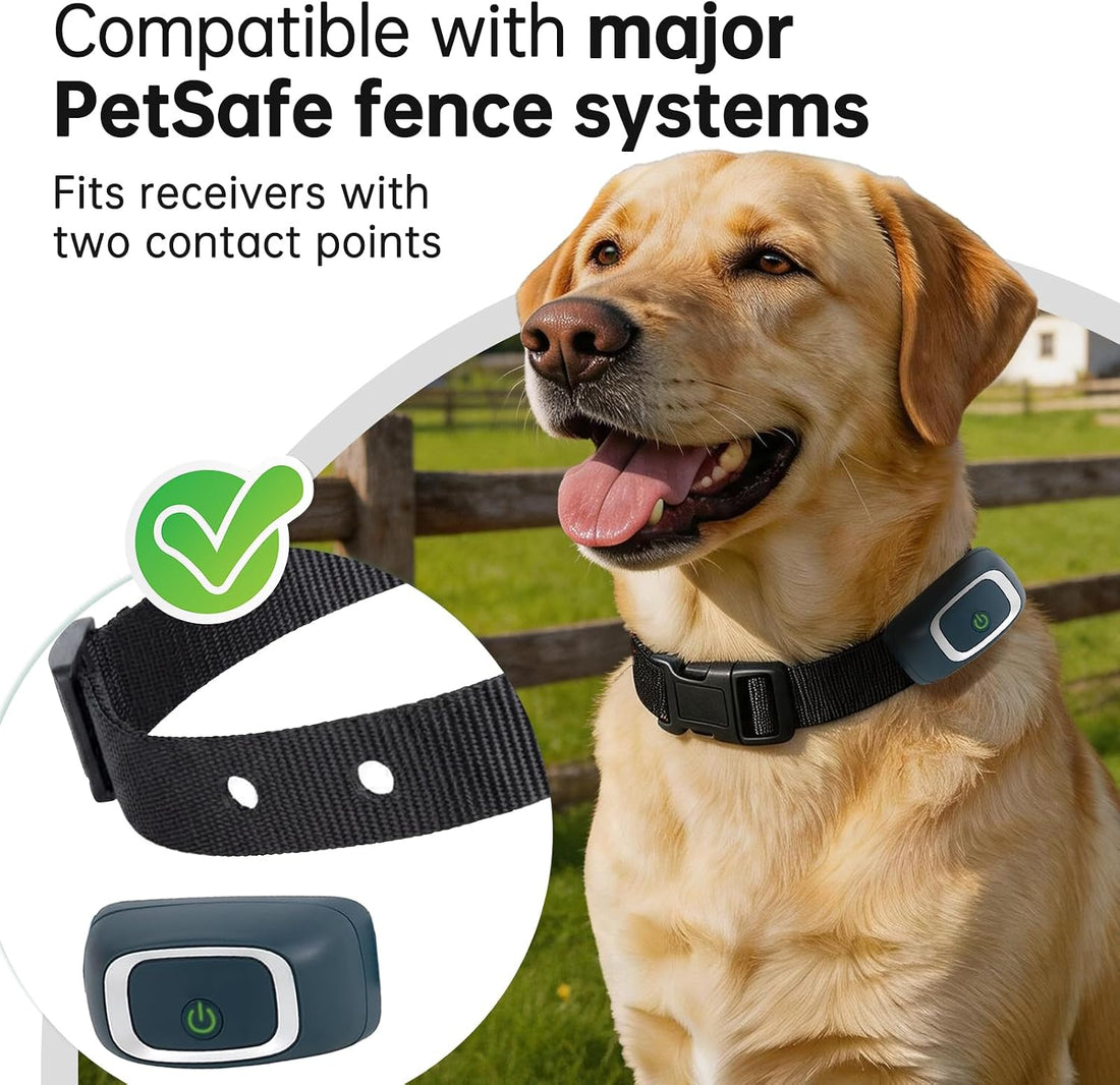 Replacement Collar Compatible with Petsafe If 100,Black