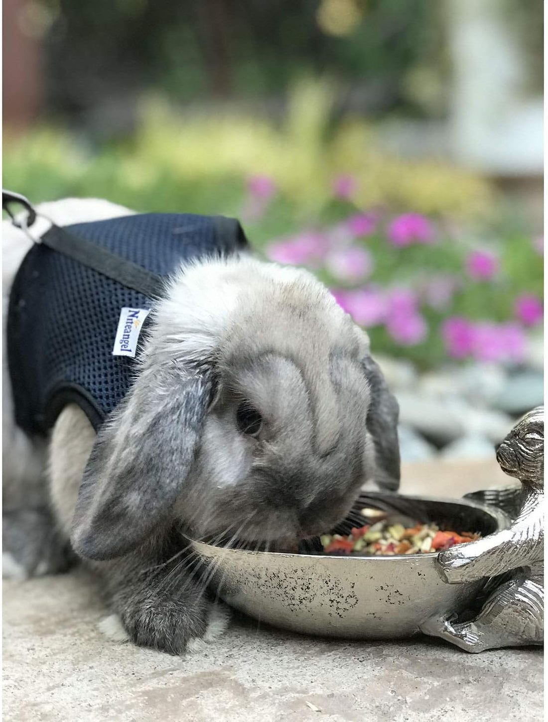 Herbivore Treat - Healthy Natural Mixed Treat - Sweet Potatoes