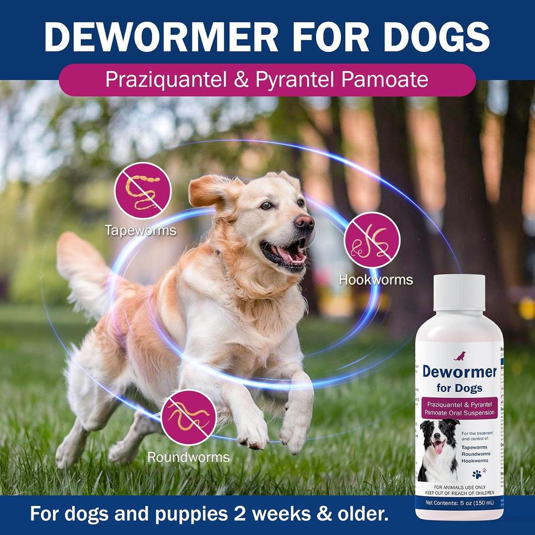 Dewormer for Dogs, Praziquantel & Pyrantel Pamoate