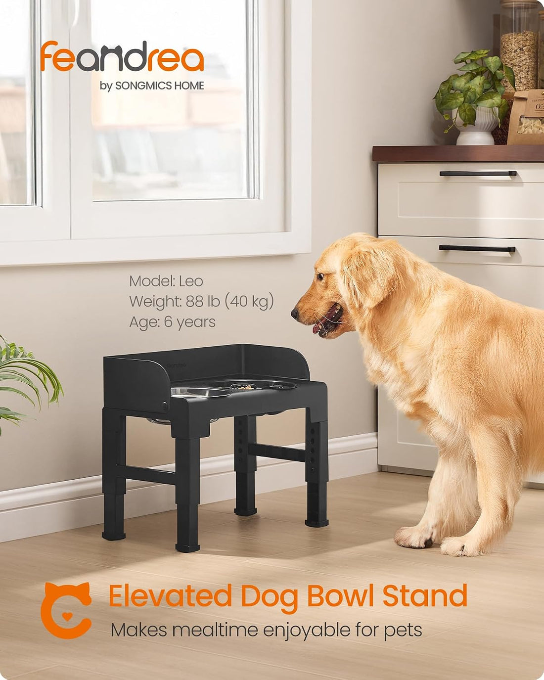Feandrea Dog Bowls Elevated, Raised Stand with 1 Slow Feeder and Two