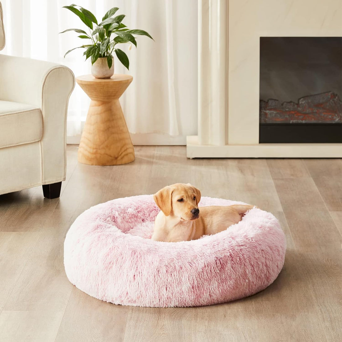 WNPETHOME Calming Dog Bed Cat Bed Donut