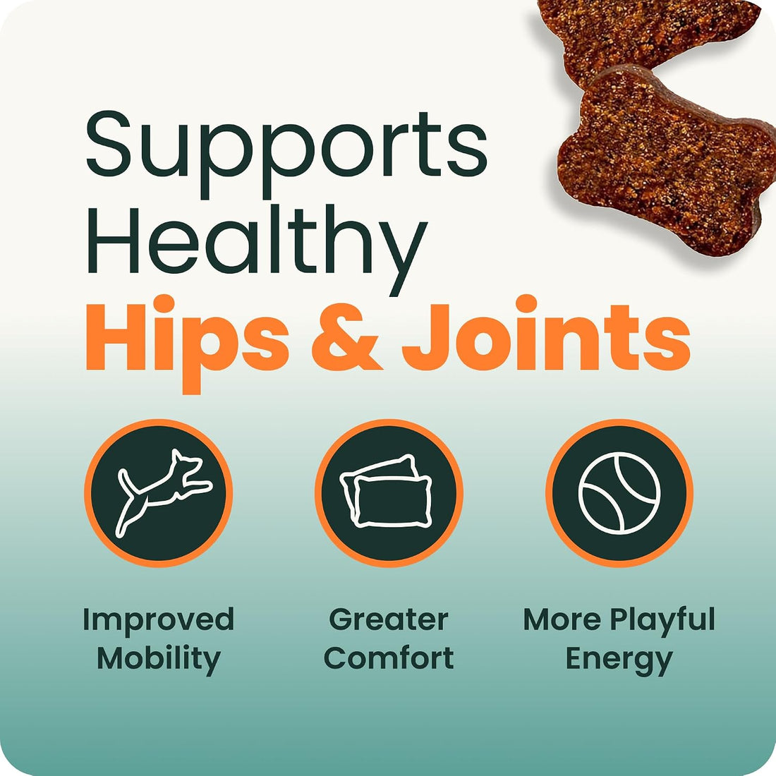 VetriScience Extra Strength Hip & Joint Supplement for Dogs