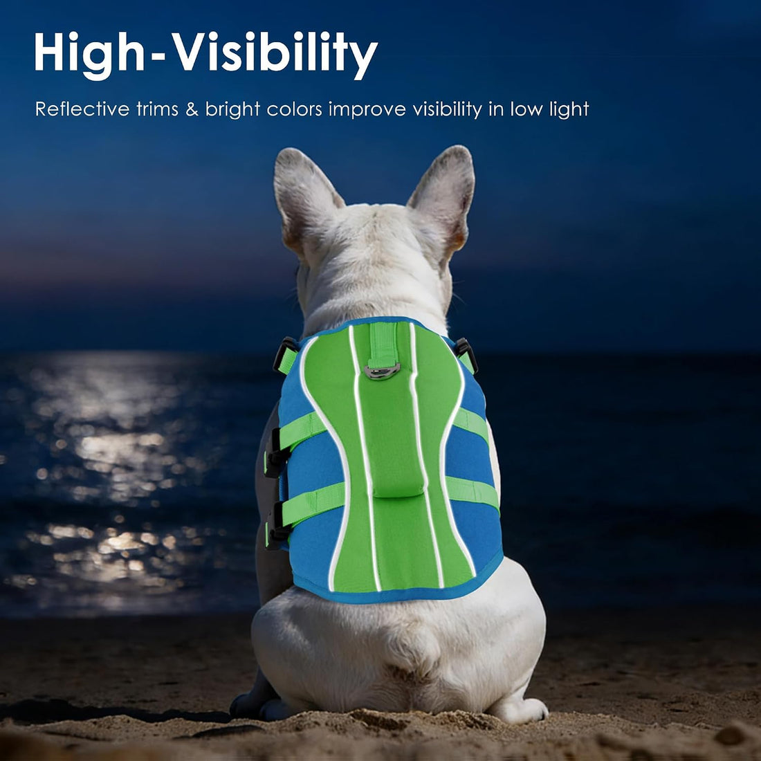 Petglad Dog Life Jacket with Handle Adjustable Swim Vest, Blue & Green