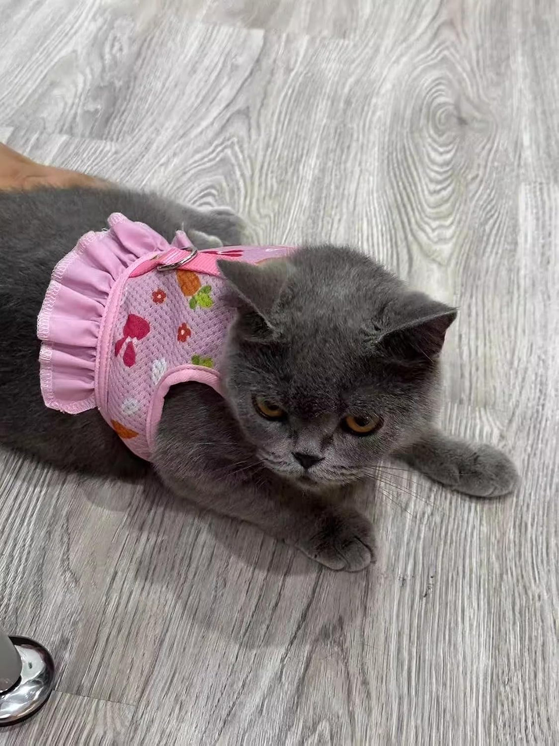 Cute Bunny Harness and Leash Set