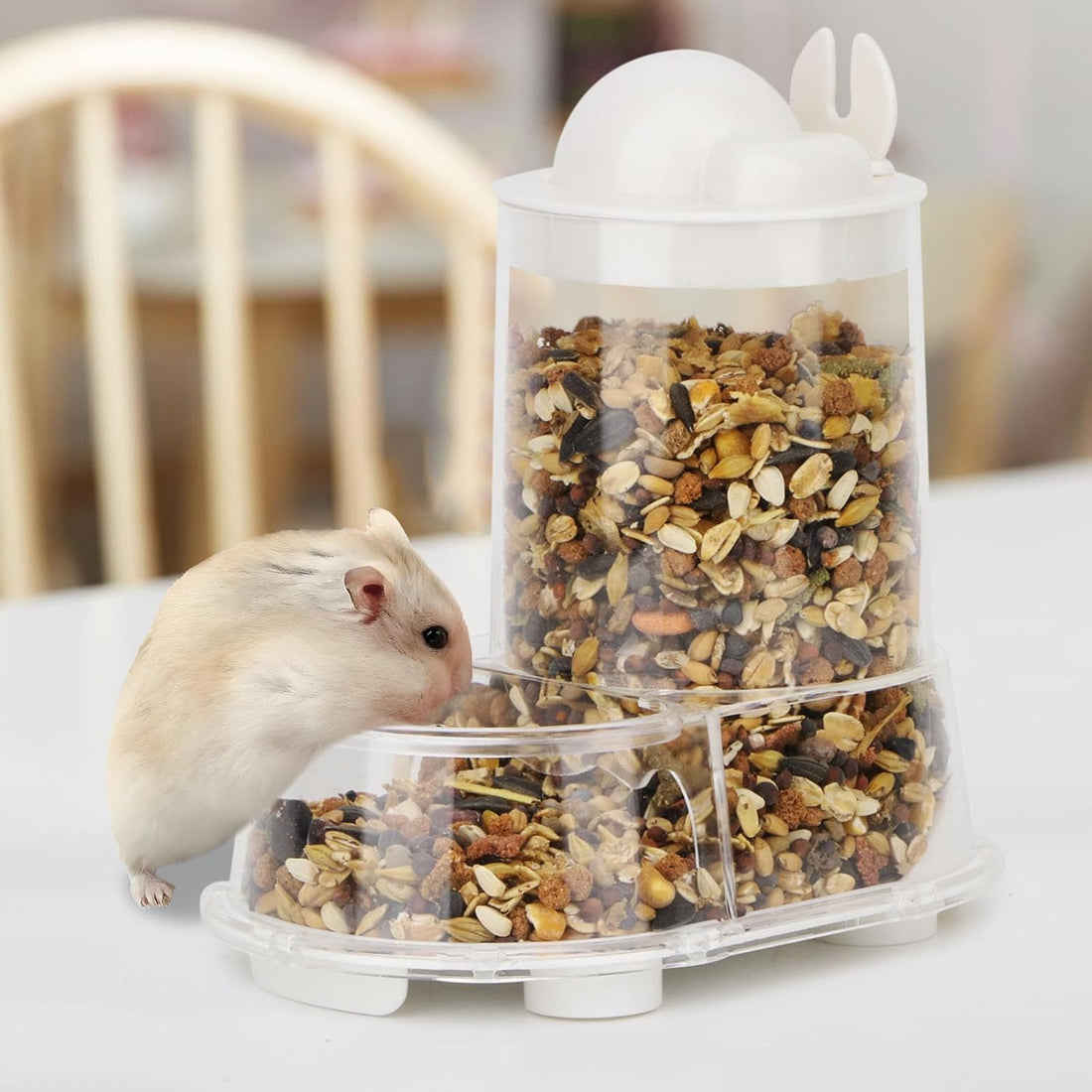 Wontee Hamster Feeder Food Bowl Automatic Dispenser for Gerbils Rats