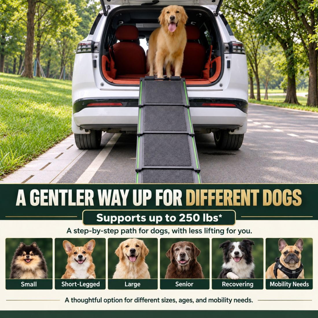 73" x 17.2" Telescoping Dog Ramp for SUV, Truck