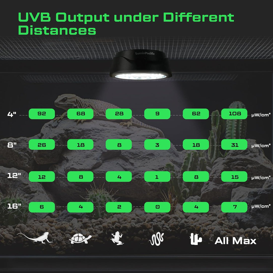 2 Pack UVB Reptile Lights with Remote, UVA UVB Light with Timer