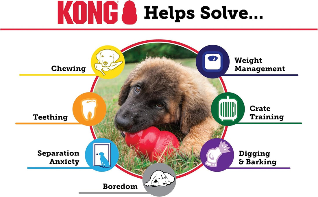 KONG Classic Stuffable Dog Toy - Fetch & Chew Toy for Dogs