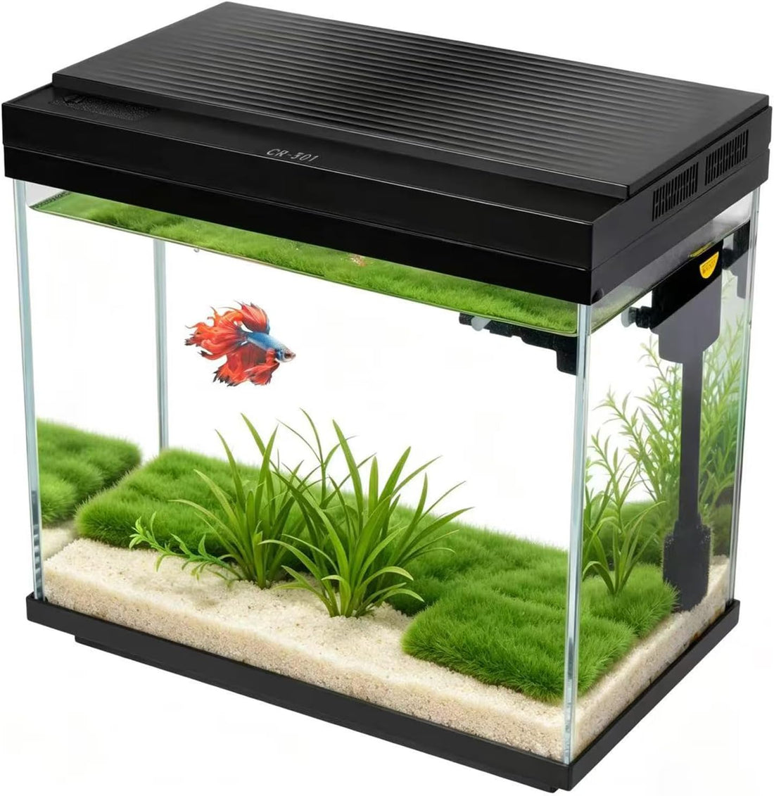 3 Gallon Fish Tank with Filter and Light