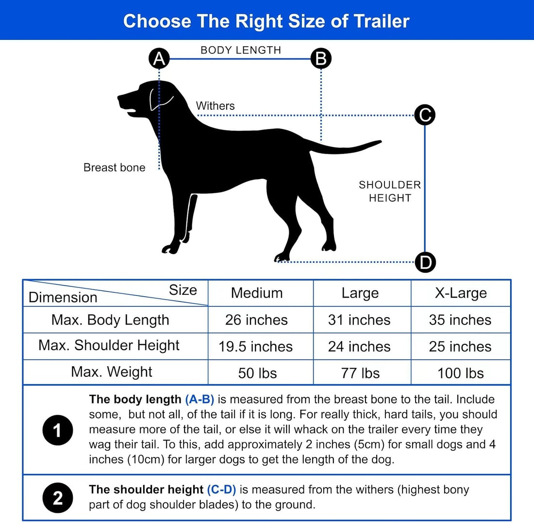 DOGGYHUT® Premium X Large Pet Bike
