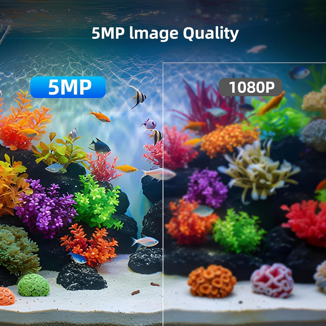 5MP Aquarium & Terrarium & Fish Tank Camera