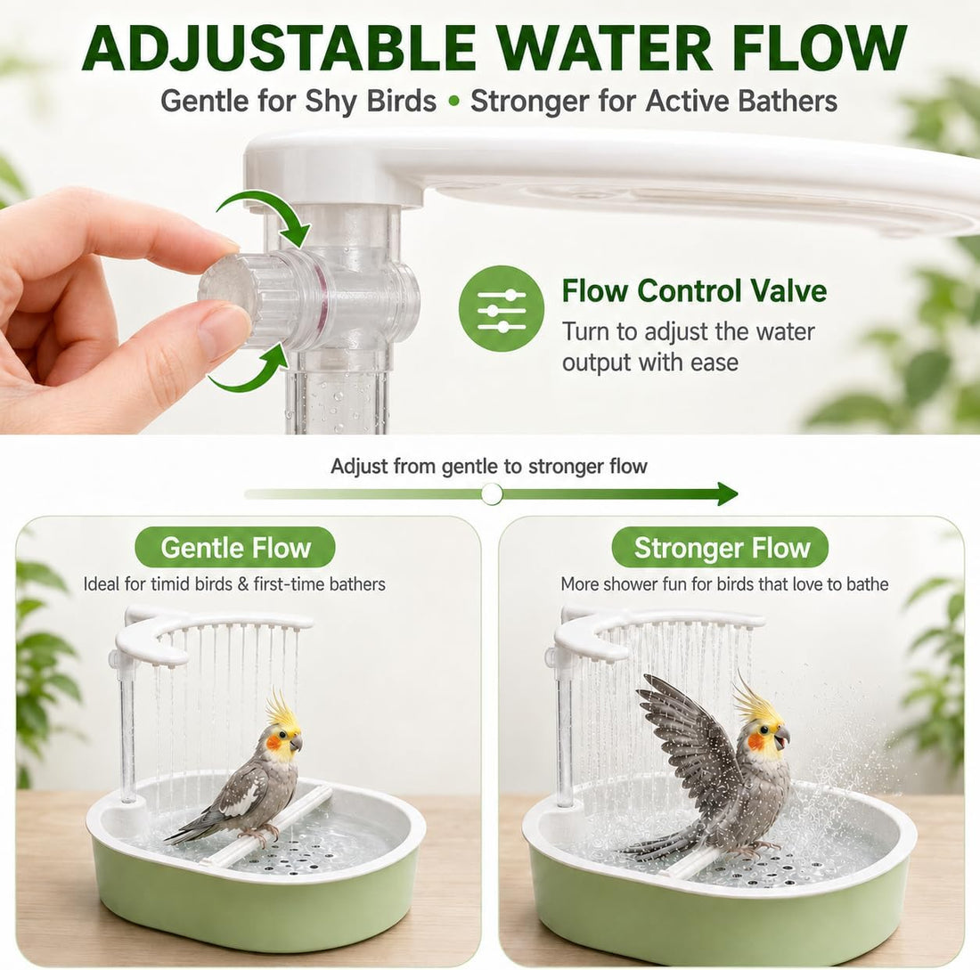 Automatic Bird Bath for Indoor Cages, Parakeets & Cockatiels