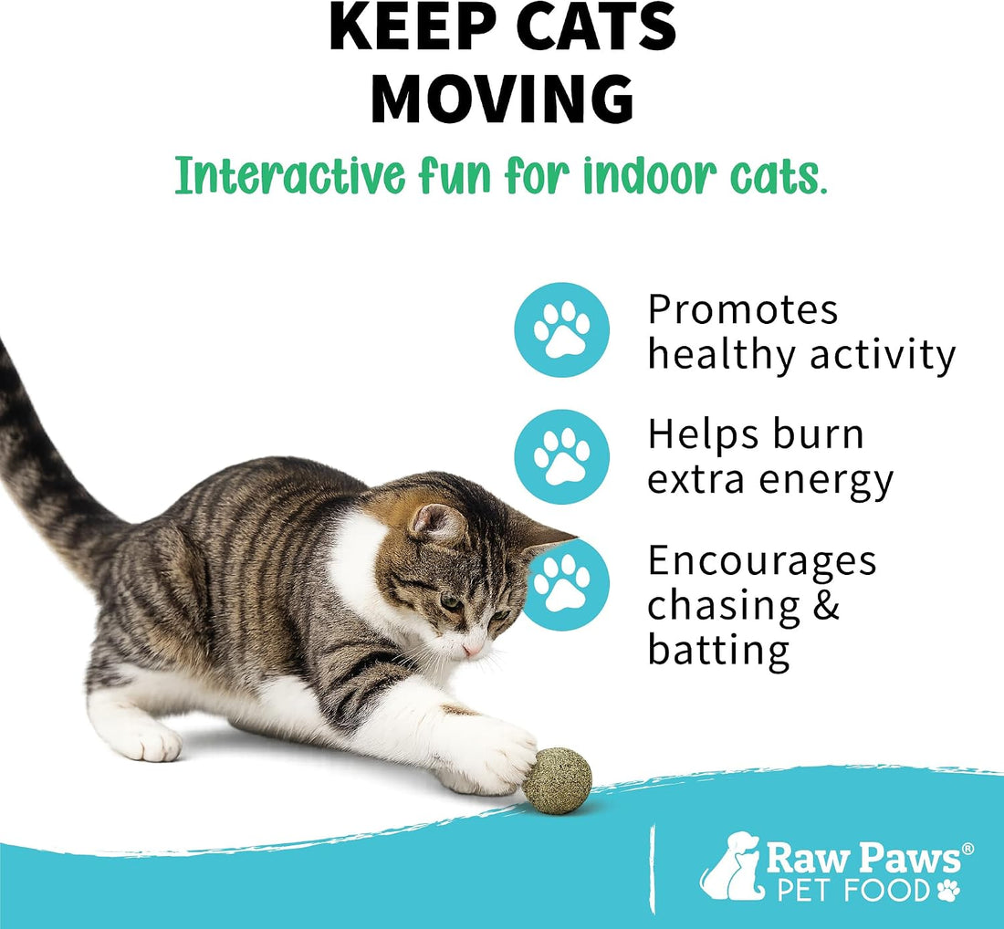 Raw Paws Catnip Balls for Cats (6-Count) - Interactive Indoor Cat Toy