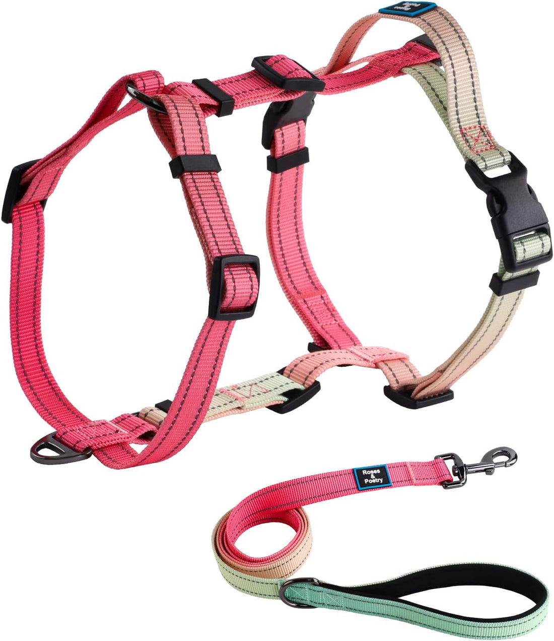 Roses&Poetry Small Dog Harness and Leash Set