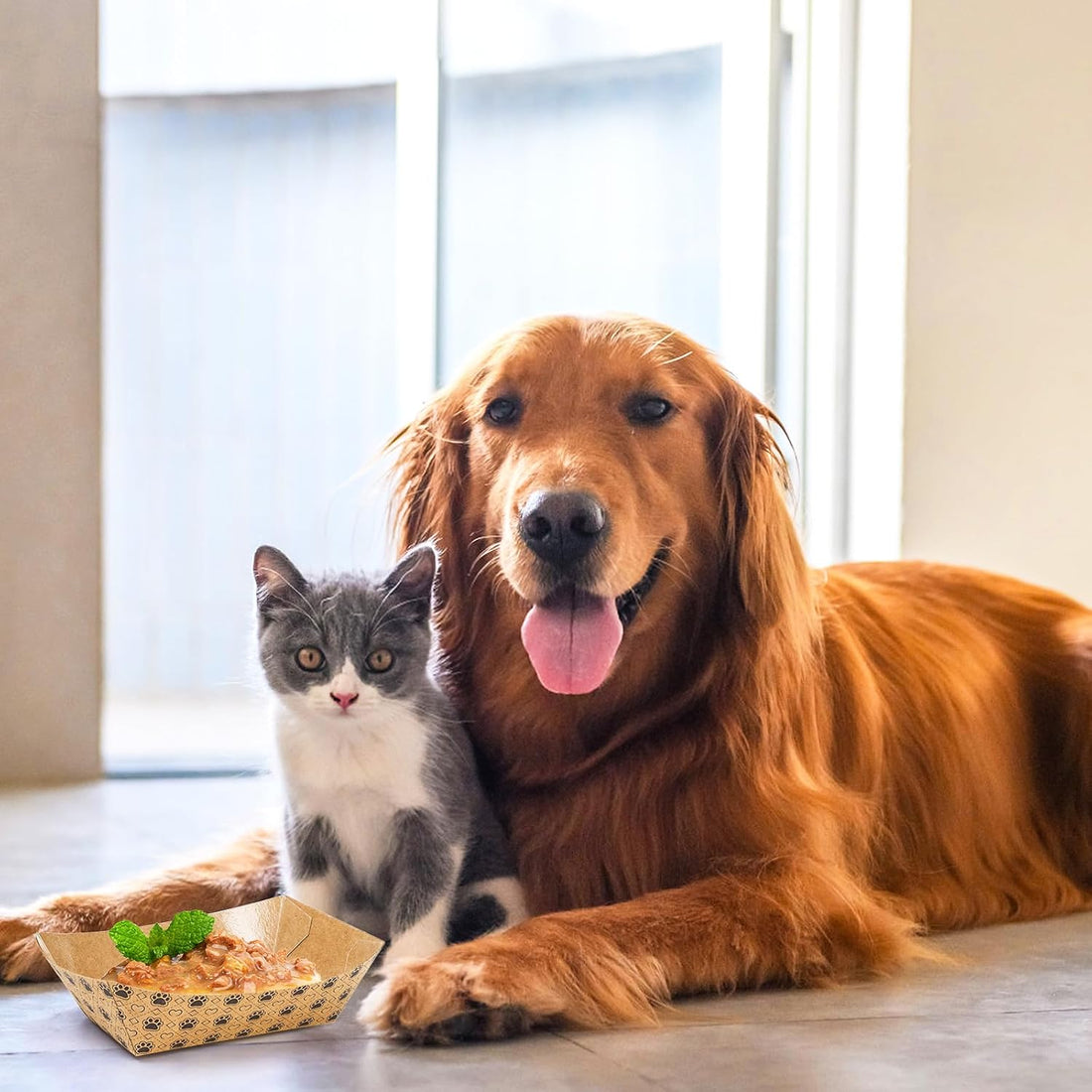 SOUJOY 100 Pack Disposable Pets Feeding Bowls
