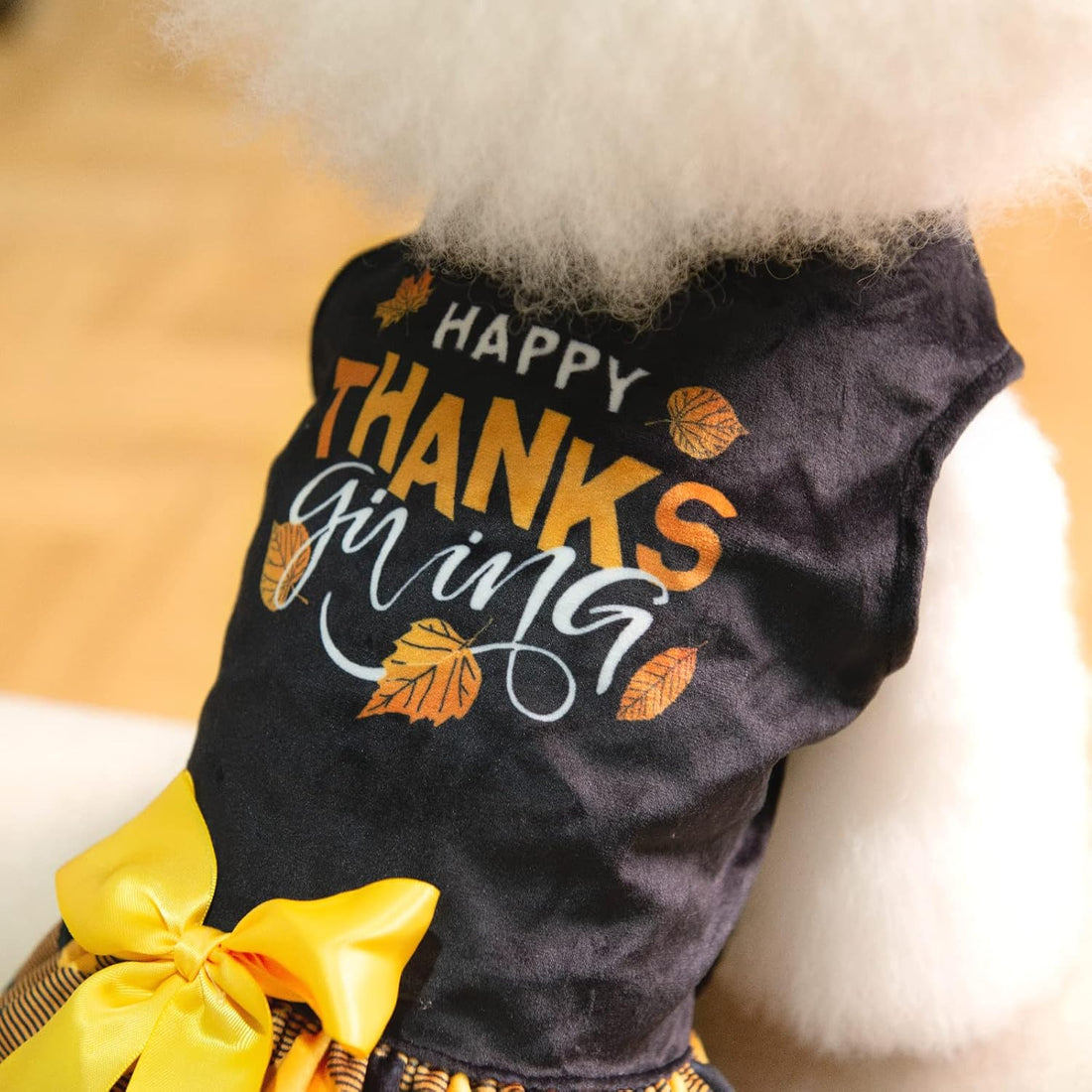 CuteBone Happy Thanksgiving Day Dog Fall Dress Costume Velvet
