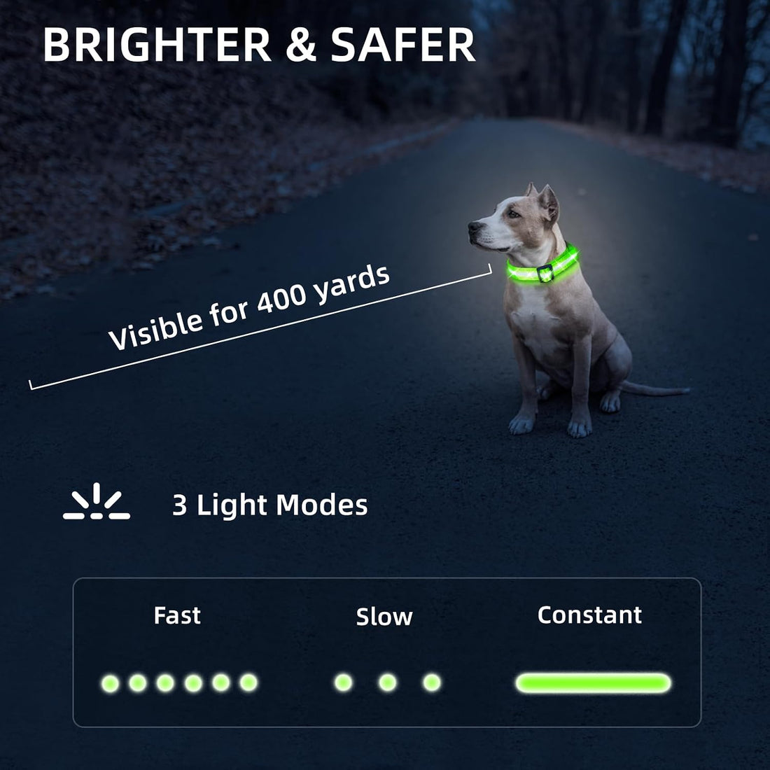 Super Bright LED Dog Collar, Waterproof Light up Collars