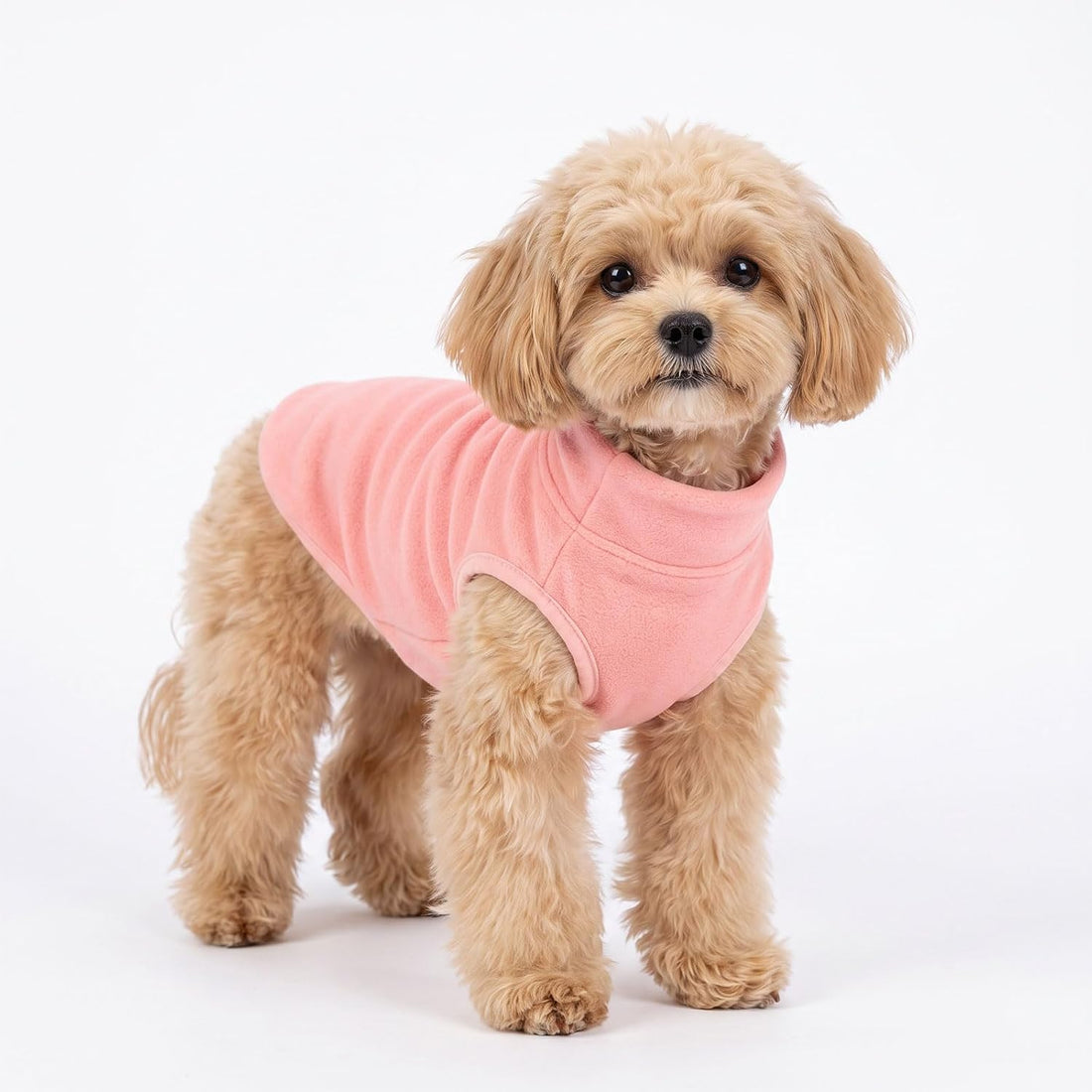 GYALAPERI 3 Pack Fleece Dog Sweaters for Small Dogs
