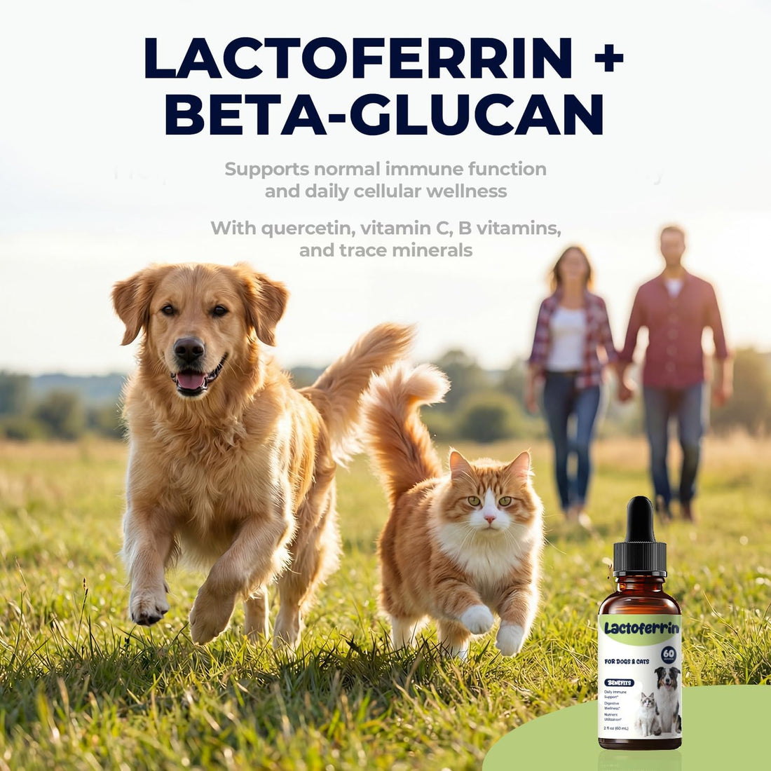 Lactoferrin Liquid Supplement for Dogs & Cats, Daily Immune Support